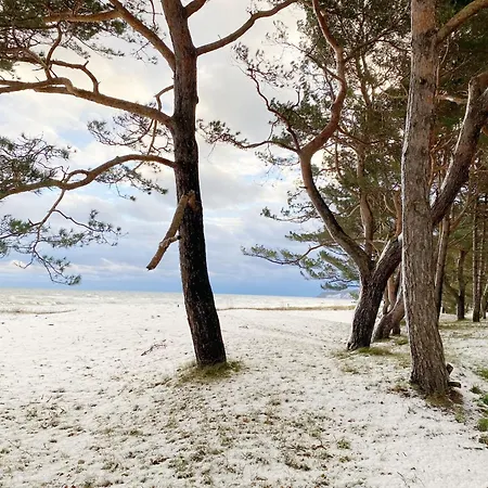 Apartment Strandlaeufer Whg 25 Mit Terrasse *