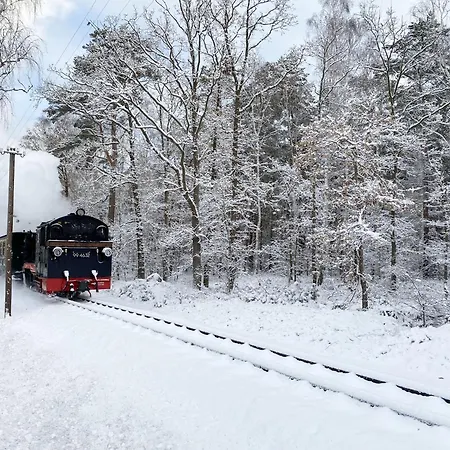 Strandlaeufer Whg 25 Mit Terrasse Baabe